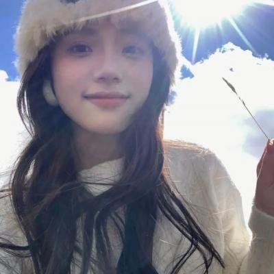 海龟们
